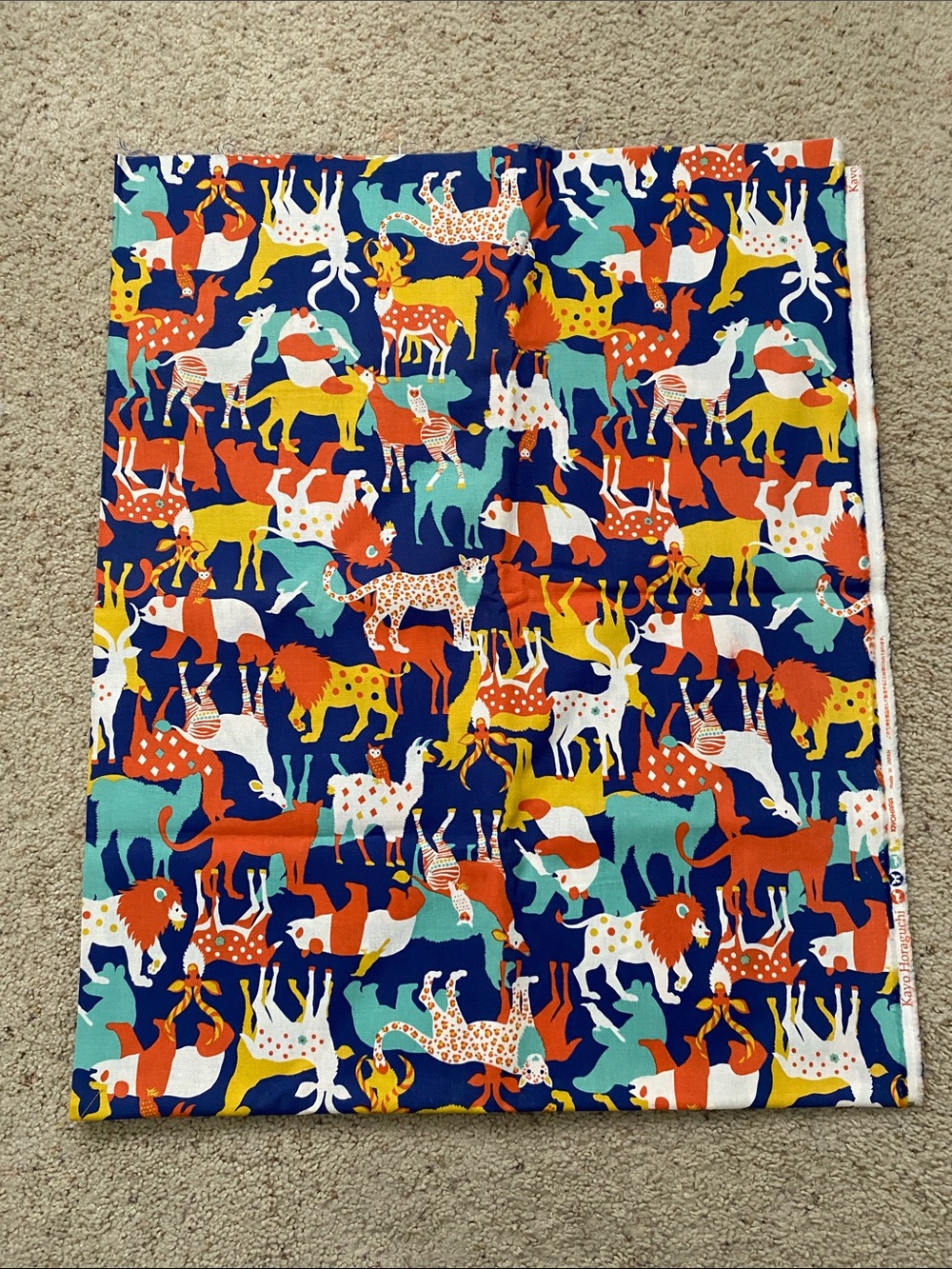 Kayo Horaguchi “Sugar High” Oxford Canvas. 3yds.